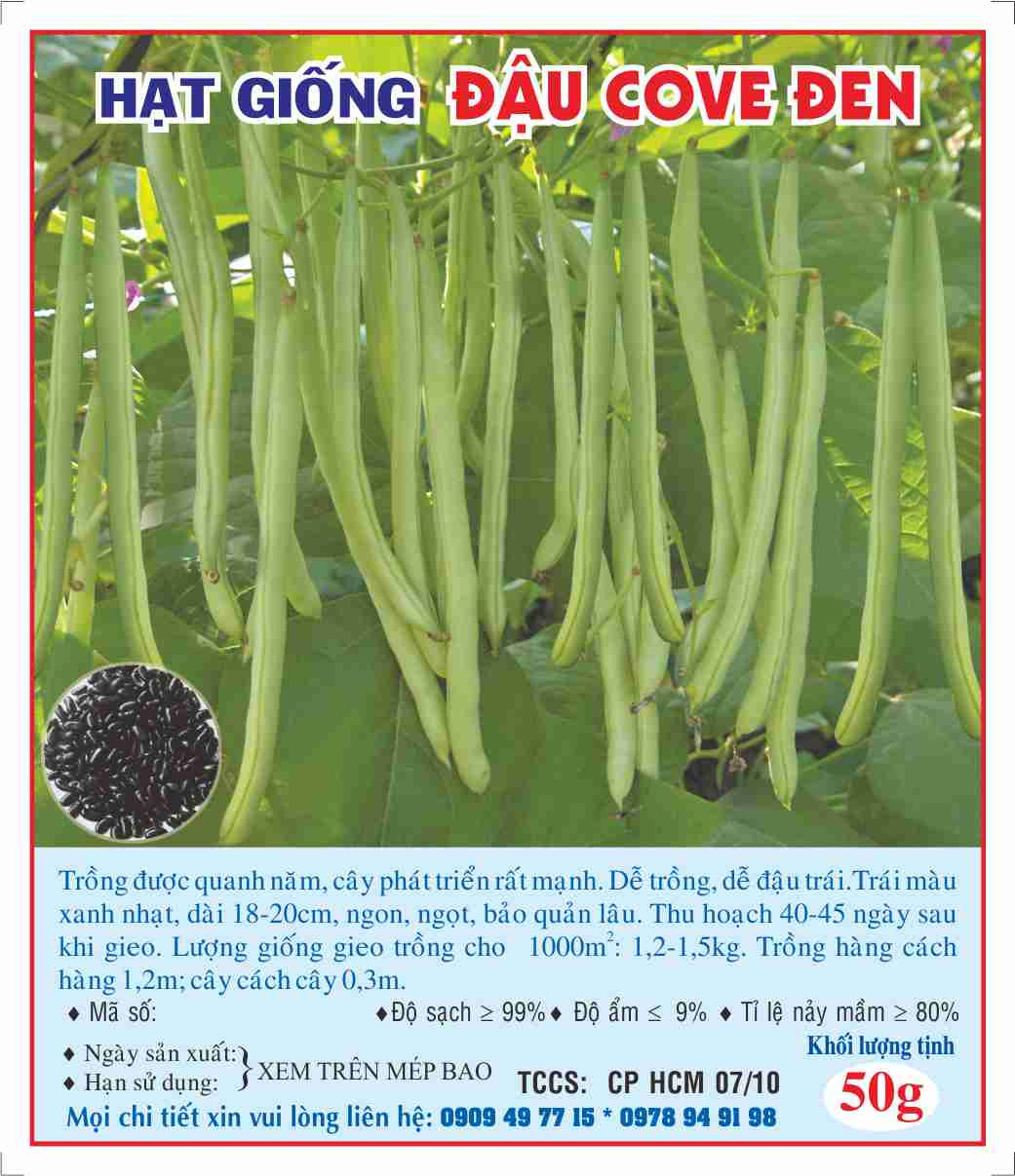 Hạt giống đậu cove đen 
