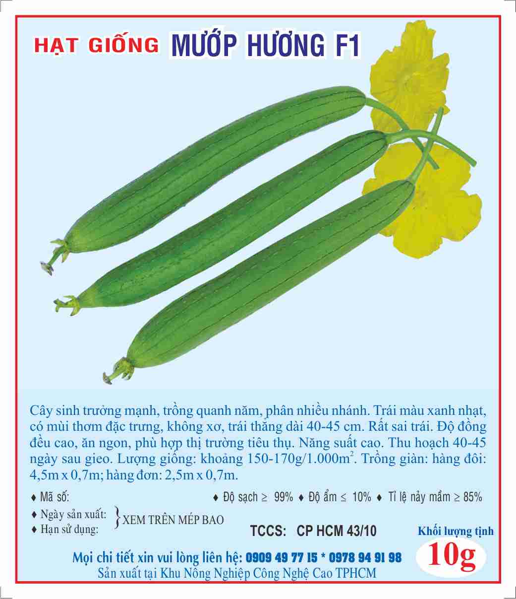 Hạt giống mướp hương F1
