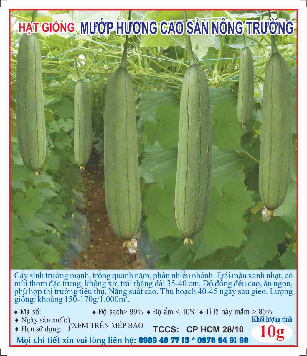 Hạt giống mướp cao sản nông trường 10g 