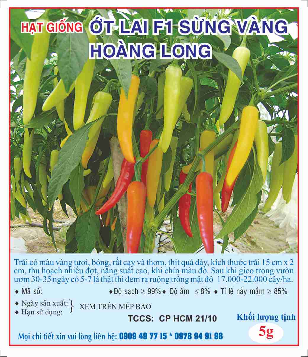 Hạt giống ớt lai F1 sừng vàng Hoàng Long  