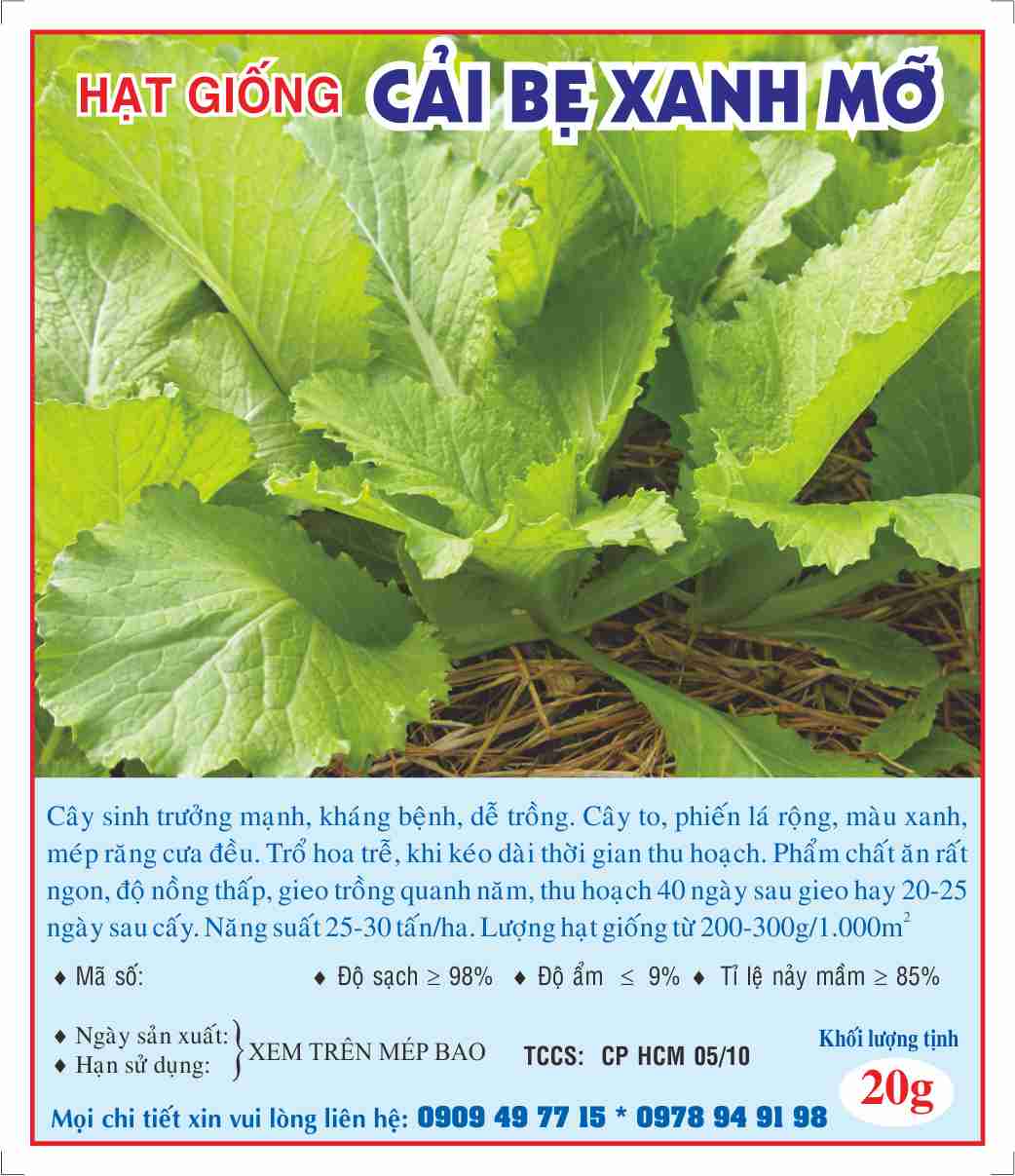 Hạt giống cải bẹ xanh mỡ 20g 