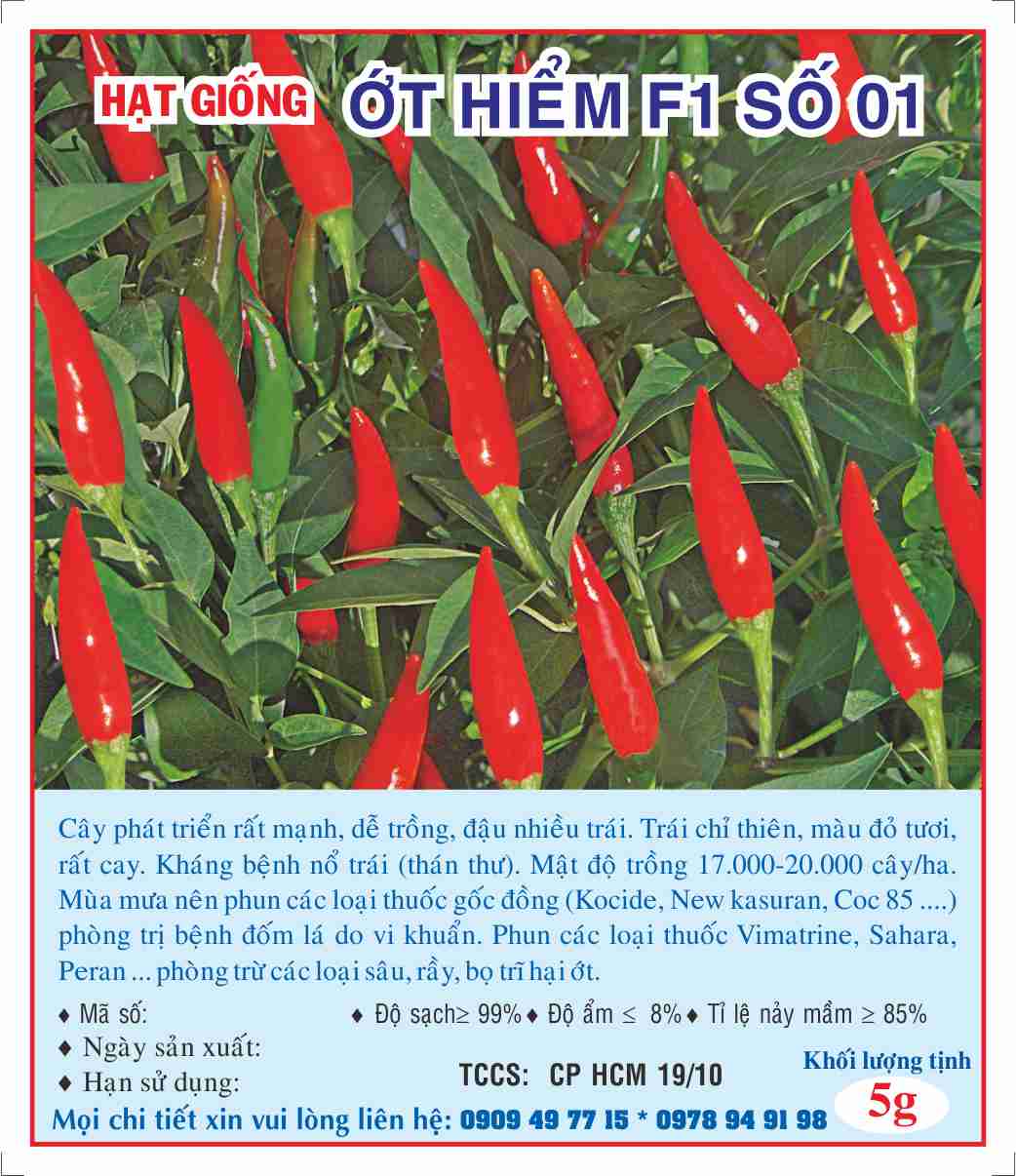 Hạt giống ớt hiểm F1 số 01