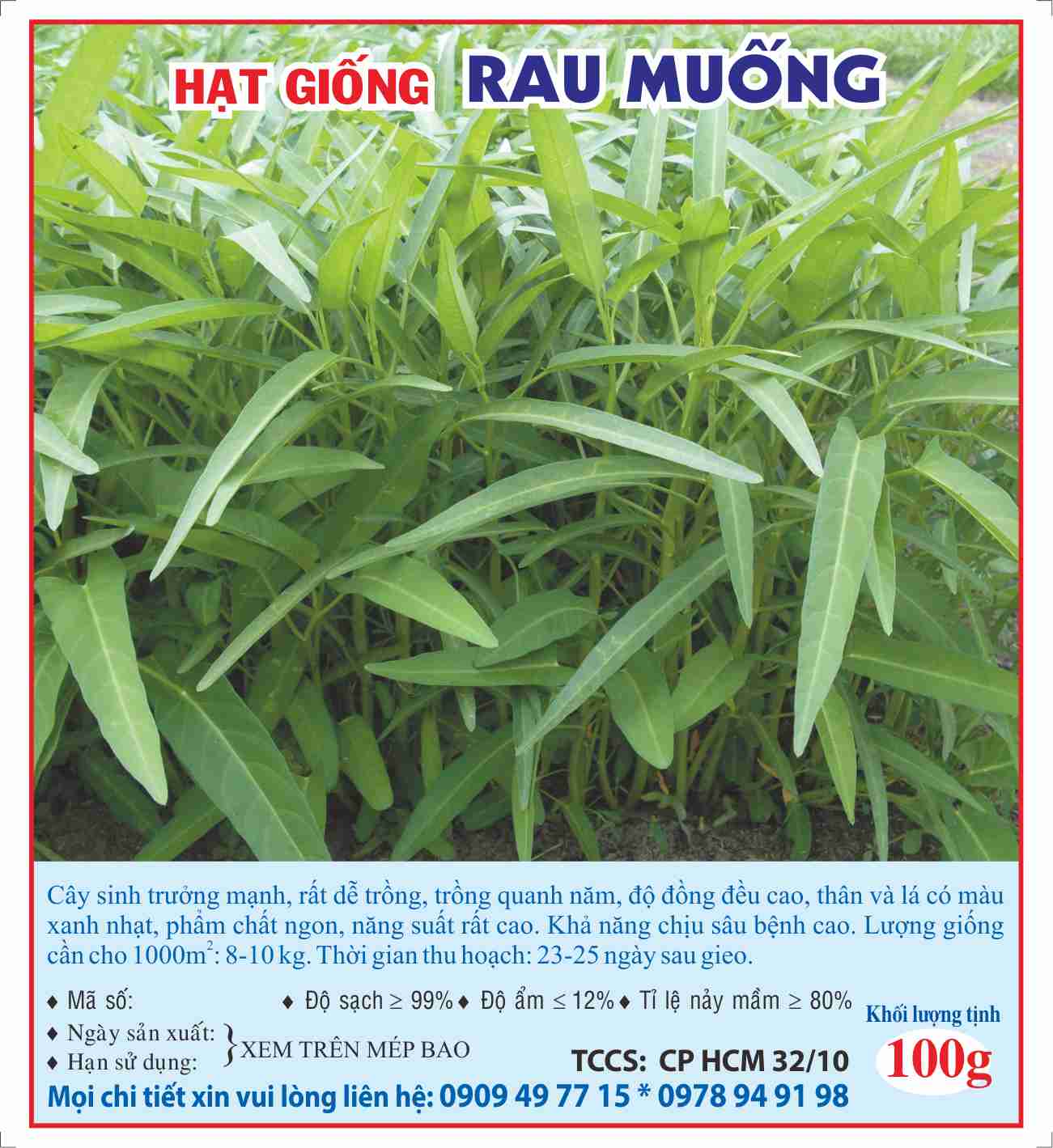 Hạt giống rau muống 