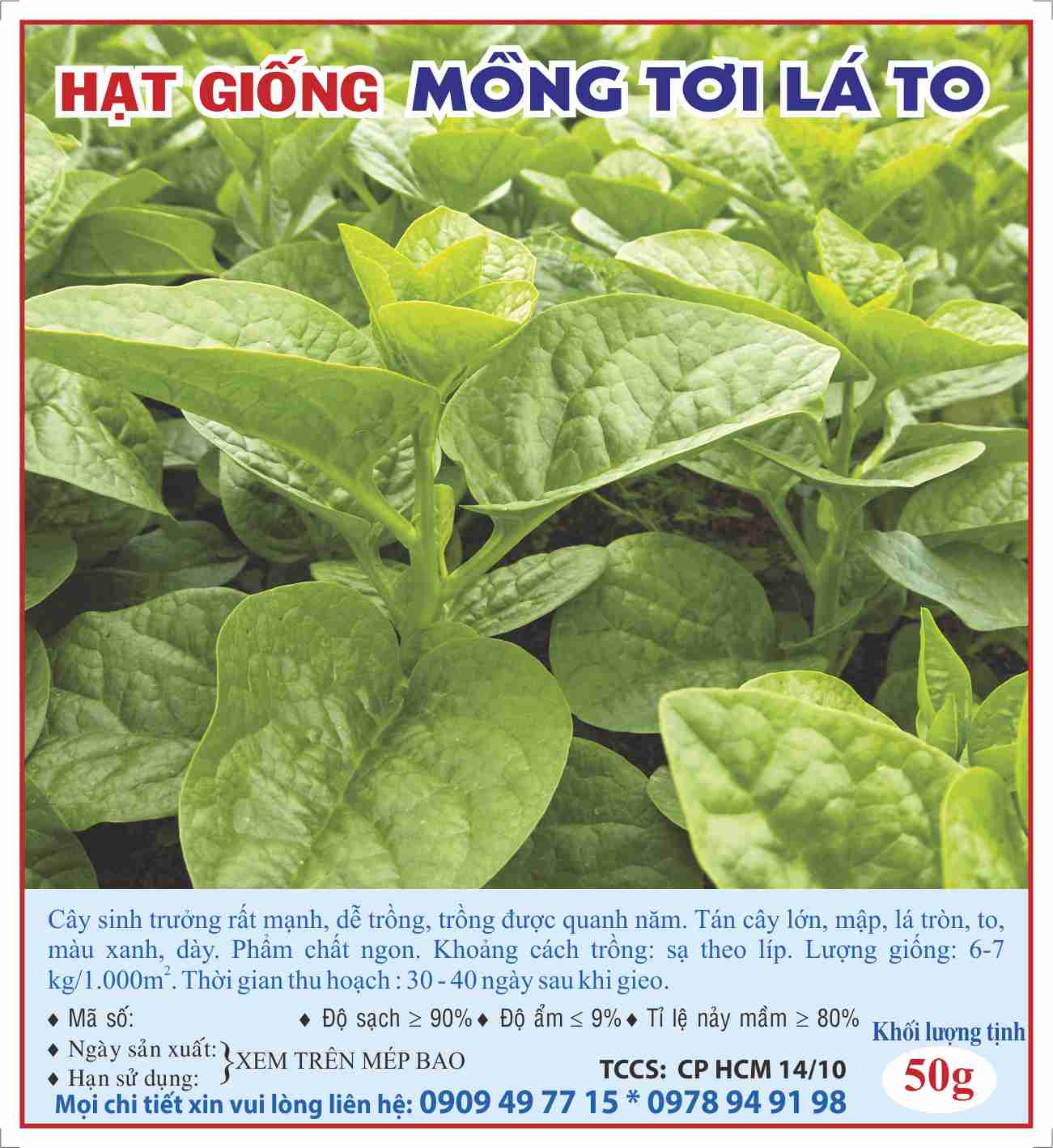 Hạt giống mồm tơi lá to